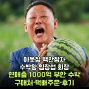 영덕농산물산지유통센터 | 이웃집 백만장자 수박왕 임장섭 회장, 연매출 1000억 부안 수박 구매처·택배주문·후기