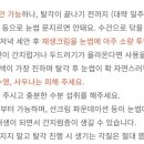 엘씨브로우
