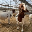 제이목장 이미지