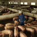 여지축산 이미지