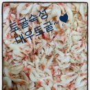 대우토굴새우젓