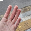 뉴샴푸노래연습장 | [2025 뉴발란스 런유어웨이] 참가후기 - 현시점 10k GOAT 레이스