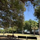 세컨델리 | 🇦🇺 호주워홀 412-417일차: 일하고 달리고 약간의 사회생활을 곁들인 근황