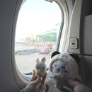 신유약국 | 진짜 베이징 당일치기 여행 🇨🇳