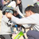 형석 Daum카페