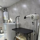 뭉개뭉개인강릉 이미지