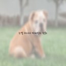 최고야마케팅
