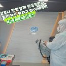 와이에스비