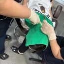 동남치과의원 | 청주 동남지구 치과 청주퍼스트치과의원 어린이 실란트(홈메우기) 시술, 부정교합 상담 후기