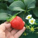 학곡농장 이미지