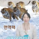 초보 오카리나 이미지