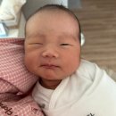 디어맘산후조리원 | 초산모의 안양 디어맘 산후조리원 선택 그리고 제왕절개 산후마사지 후기