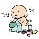 은하수야영캠핑장 이미지