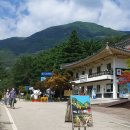 무릉계곡 이미지