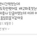 리뷰 이렇게써놓고 맘약해져서 리뷰삭제해벌임 이미지