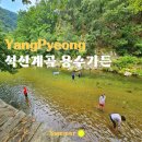 용수가든 이미지