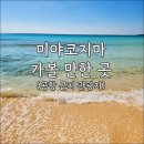 블루비치 관광농원 | [미야코지마 가볼만한 곳] 블루터틀망고주스, 17end, 나카노지마비치, 이라부대교