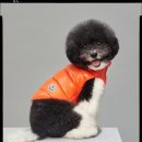 멍클레르