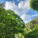 801하우스 | 대구경북근교여행 군위 부계면 801하우스펜션 카카오진 이용후기