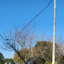 함덕초등학교선인분교장 이미지