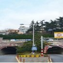대티터널입구 이미지