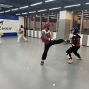 용인대 탑 태권도장 이미지