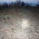 문장푸른마트 이미지