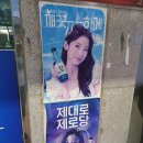 권실장참마찹쌀꽈배기영주역점 | 2023 영주 여행기 - 2일째(9) : 영주 나드리, 권실장 참마찹쌀꽈배기 영주역점 (끝)