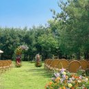 밀드플레 이미지