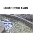 척산온천마을 | [속초] 힐링여행지추천. 척산온천마을 족욕체험기