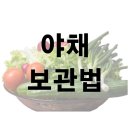 신선하게 오래 먹을 수 있는 야채 보관법 이미지