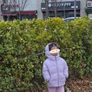 둥둥이김밥 이미지