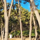 메아리부산