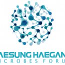 대성화이트 이미지