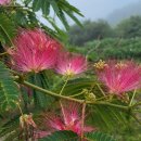 부건농장 이미지