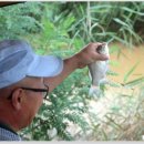 노진낚시터 이미지