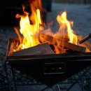 여울애꽃물들인 이미지