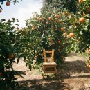 스테이디앤디풀빌라 이미지