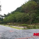 용두산오토캠핑장 이미지