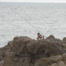 석병초등학교 이미지