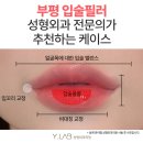 케이스성형외과의원 이미지