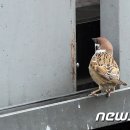 구두방 이미지