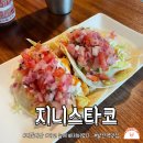 지니스타코 이미지
