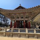 불국사에 다녀 왔어요. 연화교와 칠성교, 백운교, 청운교, 자하문, 안양루, 다보탑, 석가탑 대웅전 부처님과 돼지 용상 이미지