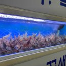 신논현역2번출구 뒤 이미지