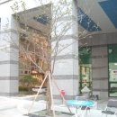 서초신성미소시티 이미지