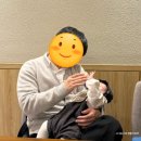 씨유대전복수스타점 | 12월 일상 | 고다네&amp;용구네로 가족여행, 독감, 연말모임, 자유