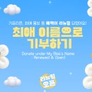 셀챔하시는 분들 계시나요? 이미지