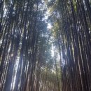 창녕 남지 개비리 이미지