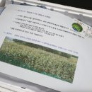 양지농장1 이미지